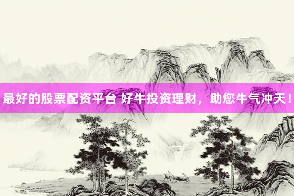 最好的股票配资平台 好牛投资理财，助您牛气冲天！