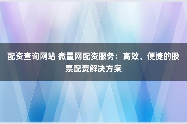 配资查询网站 微量网配资服务：高效、便捷的股票配资解决方案