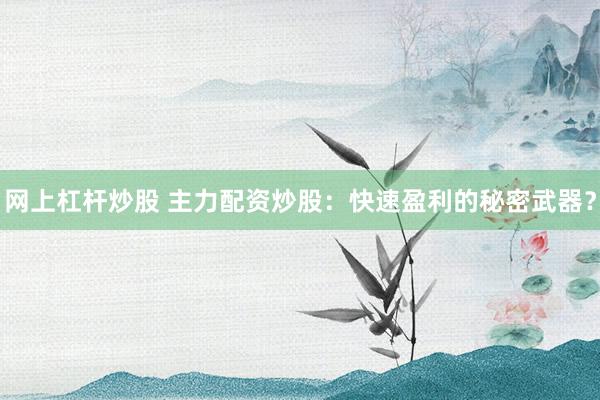 网上杠杆炒股 主力配资炒股：快速盈利的秘密武器？