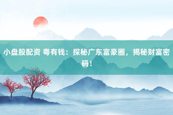小盘股配资 粤有钱:探秘广东富豪圈,揭秘财富密码!
