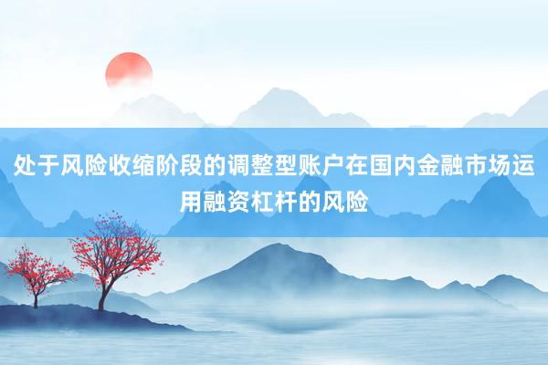 处于风险收缩阶段的调整型账户在国内金融市场运用融资杠杆的风险